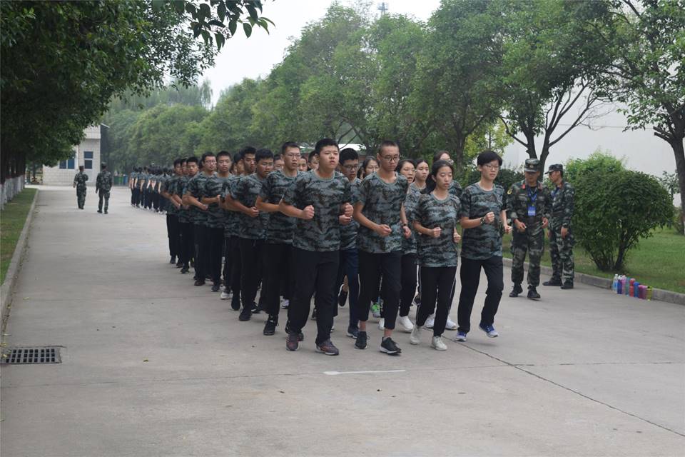 图片包含 树, 户外, 地面, 天空描述已自动生成