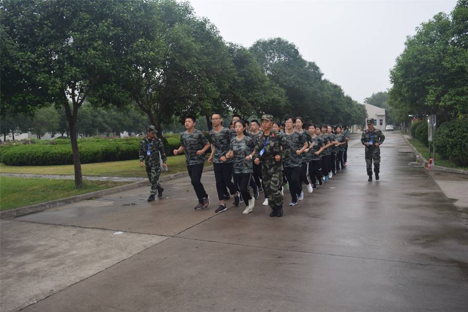 图片包含 树, 户外, 天空, 地面描述已自动生成