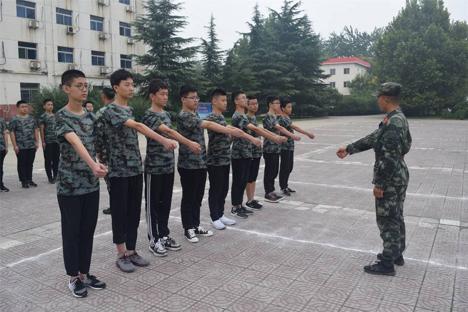 图片包含 树, 户外, 人员, 天空描述已自动生成