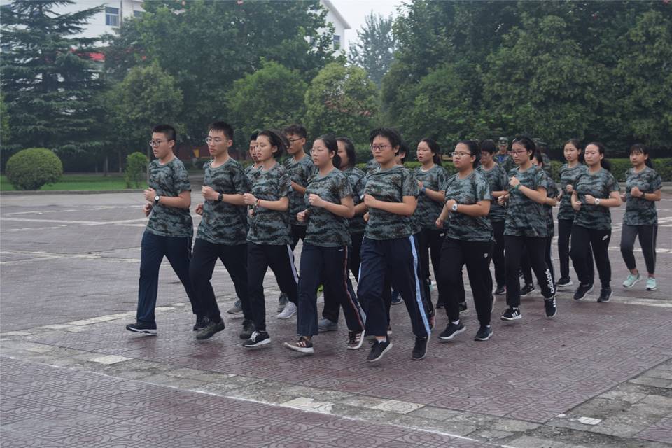 图片包含 树, 户外, 人员, 地面描述已自动生成